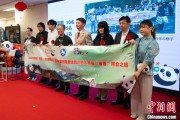 事业目标中国彩绘熊猫艺术国际巡展东京站开幕