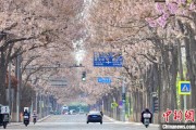 事业目标共建“花园城市” 北京这场议政会“百花齐放”